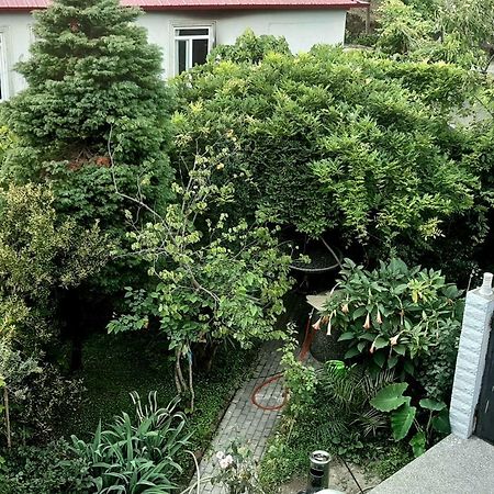 Tj Guest House Makhinjauri Exterior photo
